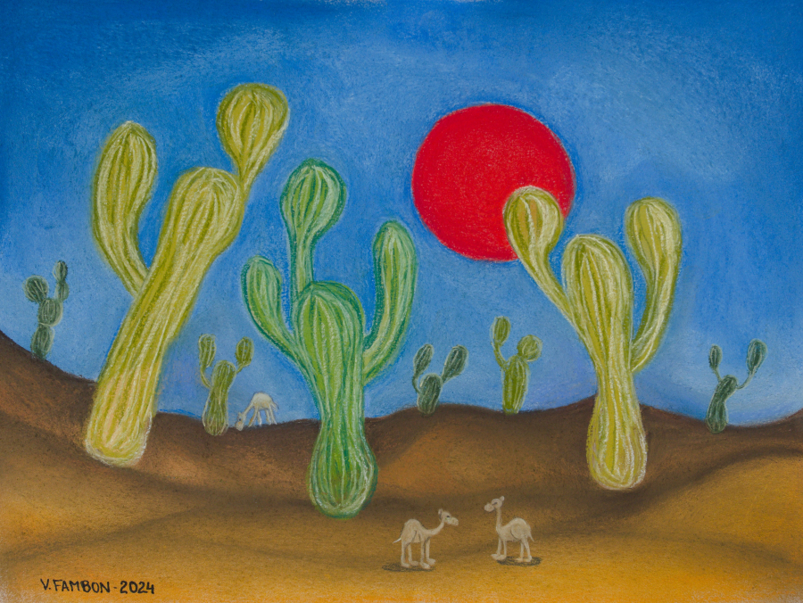 Cactus et dromadaires